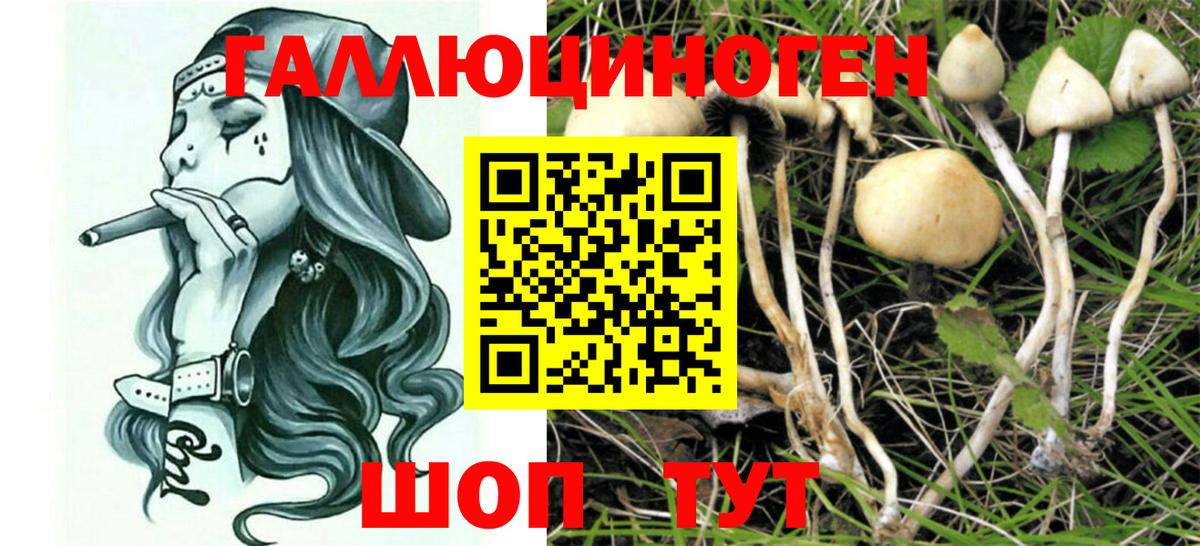 Псилоцибиновые грибы Cubensis  Галлюциногенные грибы Psilocybe  Вход с VPN  хочу   Трёхгорный 